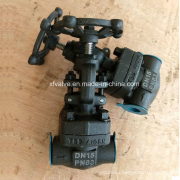 DIN Forged Carbon Steel A105 Thread End NPT Globe Valve